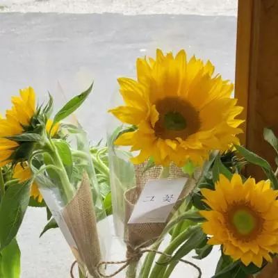 尊龙人生就是博登录